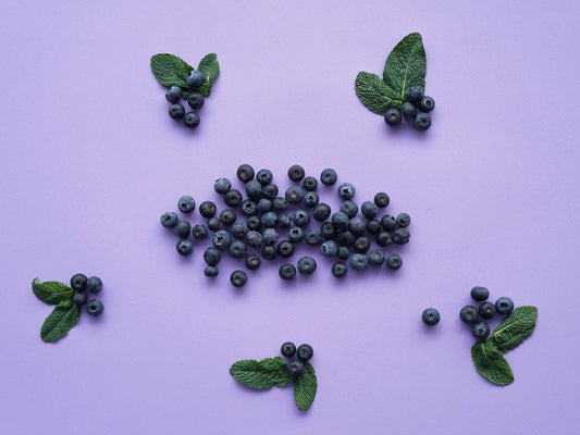 Heidelbeeren: Vitamine, Kalorien und Nährwerte auf einen Blick